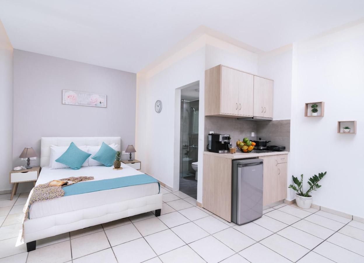 Ermis Luxury Suites&apartments Amoudara Lasithiou